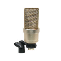BravoPro DR-700 Large Diaphragm Condenser Microphone