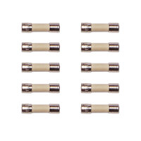 M205 10 amp Ceramic Fuse for Dimmer 20mm x 5mm - Packet of 10