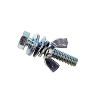 LHBS2 2-inch x 3/8-inch Nut, Bolt & Washer Set