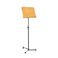 RATstands Pro Concert Stand with Single Lip Tray