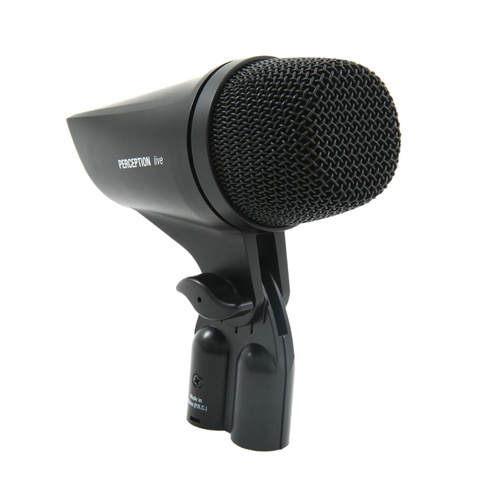 AKG P2 High Performance Dynamic Bass Instrument Microphone